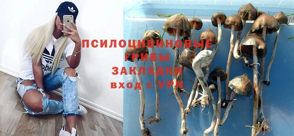 таблы Аркадак