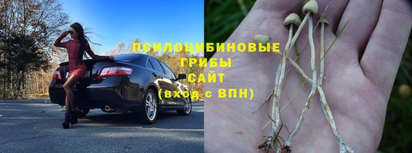 таблы Аркадак
