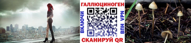 нарко площадка как зайти  Вельск  Галлюциногенные грибы прущие грибы 